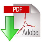 PDF