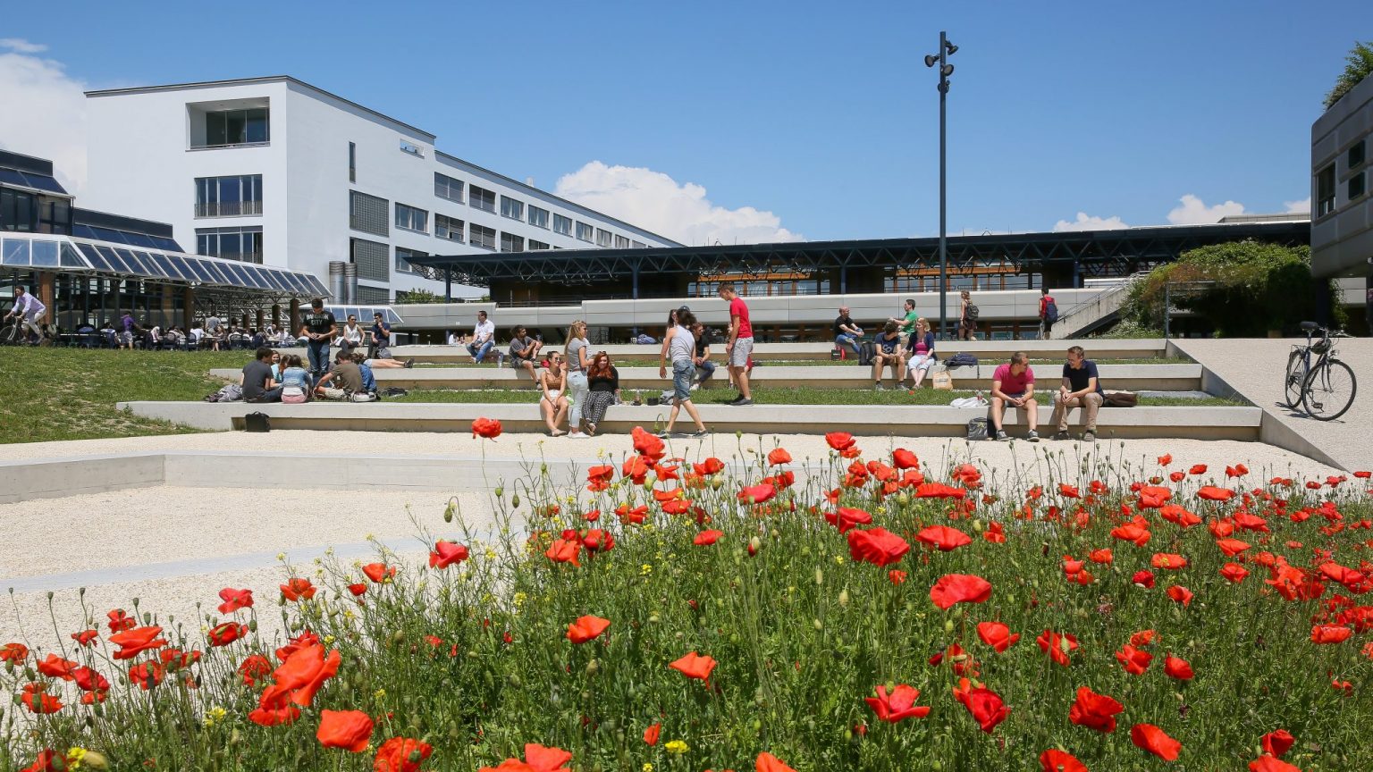 Etudes école Polytechnique Fédérale De Lausanne - 