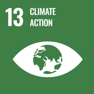 sdg 13 climate goal