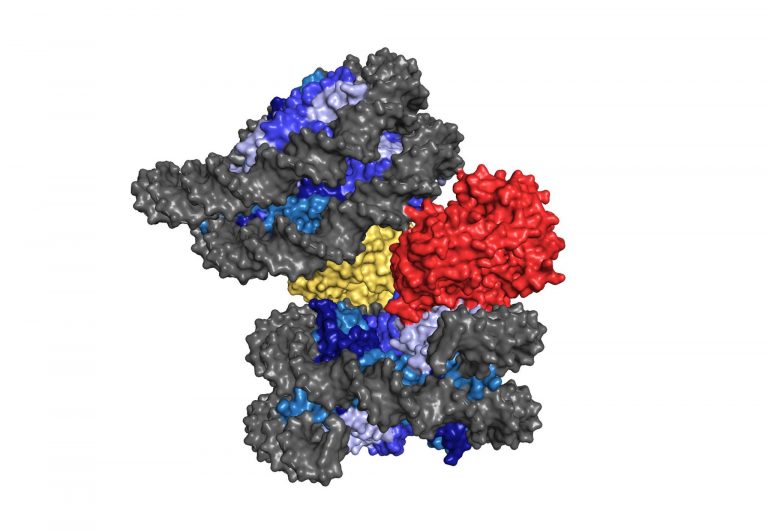 Research ‒ UPABLASSER ‐ EPFL