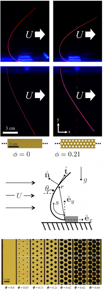 Fluids And Fluid-Structure Interaction ‒ FLEXLAB ‐ EPFL