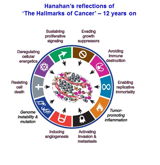 Hanahan ‒ HANAHAN LAB ‐ EPFL