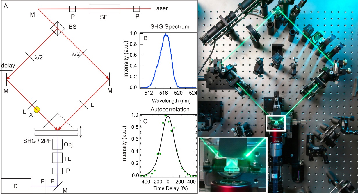 Nonlinear Microscopy ‒ LBP ‐ EPFL