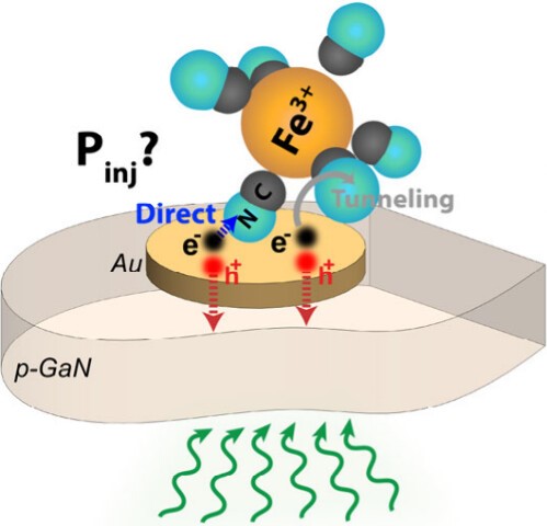 New Paper Published