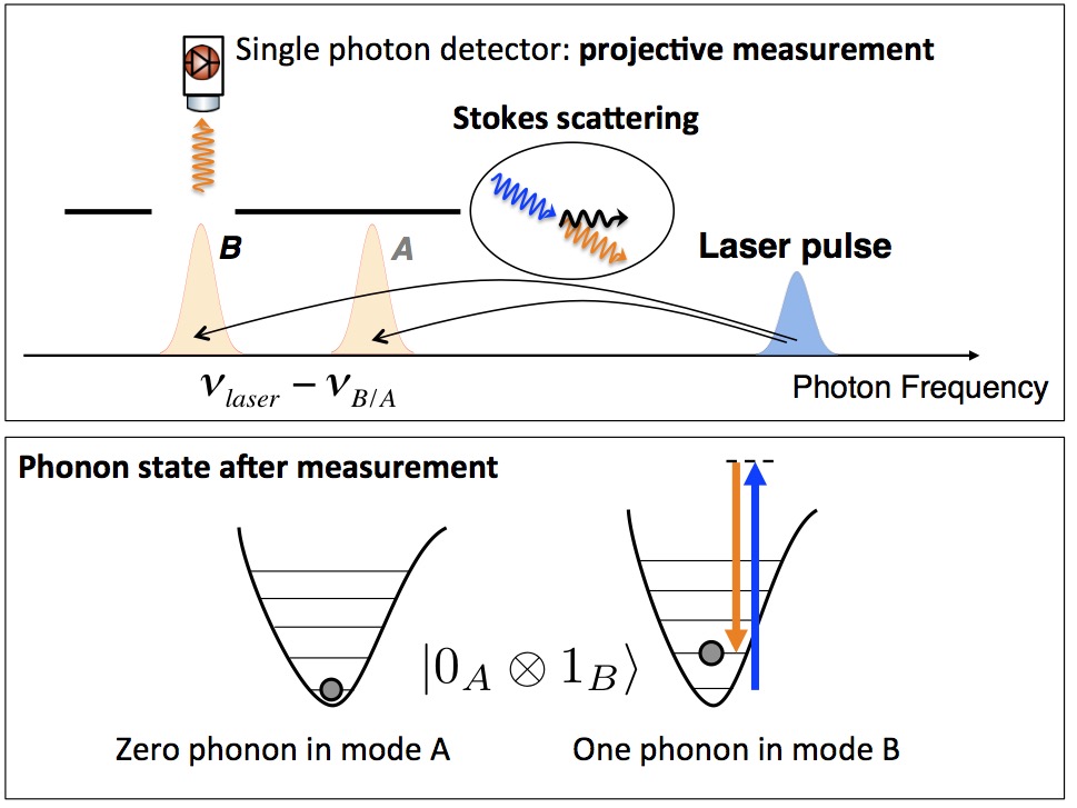 Vibrational quantum dynamics ‒ LQNO ‐ EPFL