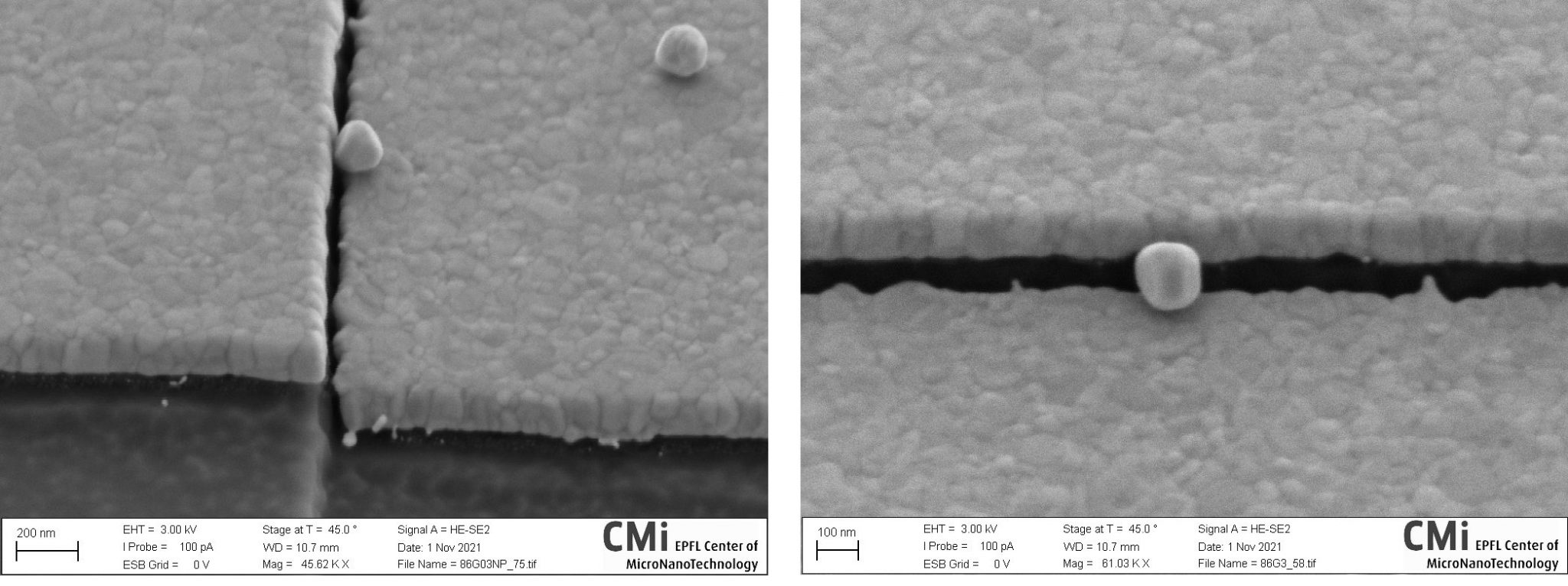 molecular-transport-and-spectroscopy-in-plasmonic-nanojunctions-lqno-epfl