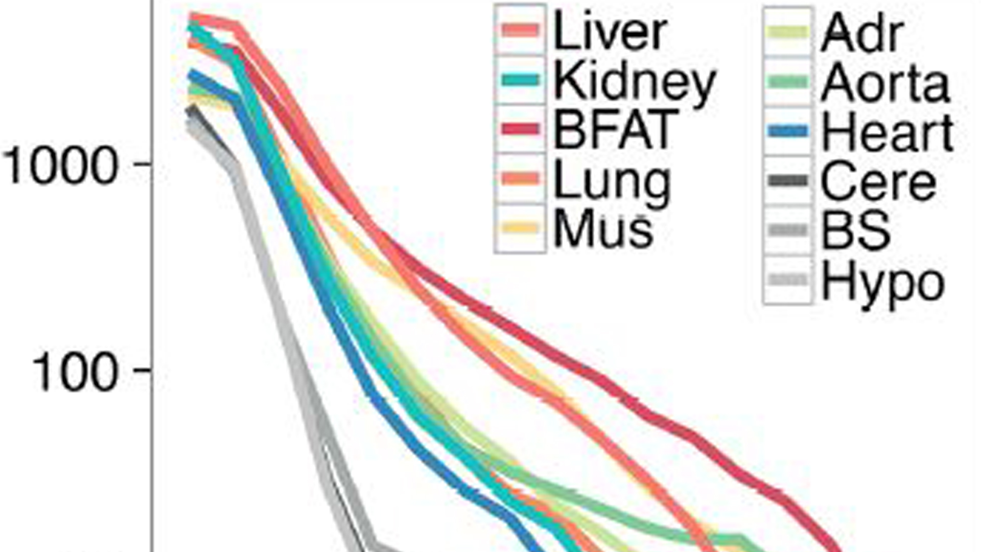 Transcription Factor Activity Rhythms And Tissue Specific Chromatin Interactions Explain 2533