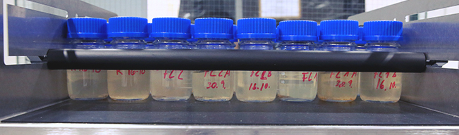 microbial diversity