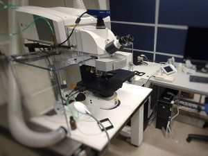 Zeiss LSM710 ‒ BIOP ‐ EPFL