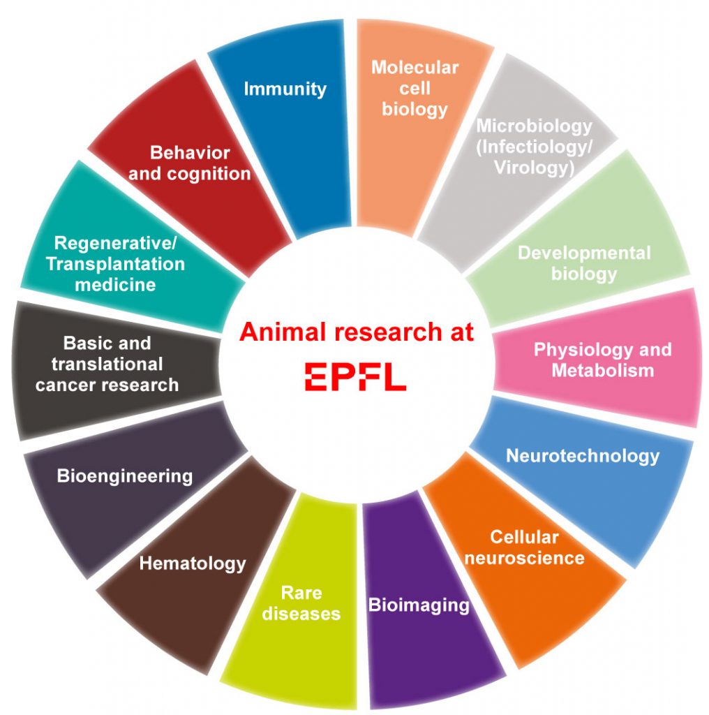 what-kind-of-research-with-animals-research-epfl